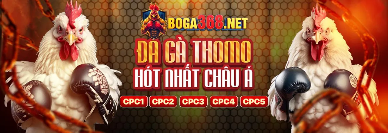Ưu đãi hoàn trả độc quyền tại thbbet chính thức